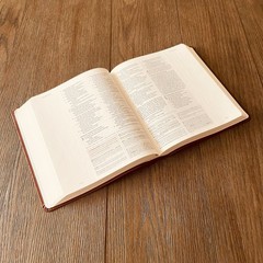 Personalized Bible for Men, ESV Journaling Study Bible, Custom Name Engraved
