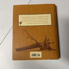 Hatchet by Gary Paulsen 20th Anniversary Edition 2007. Cond-acceptable