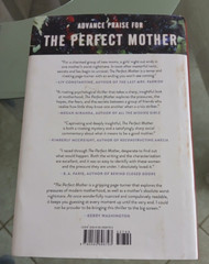The Perfect Mother By Aimee Molloy Hardcover 317 Pages