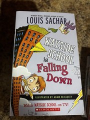14 Book Lot Wayside School Falling Down Louis Sachar Classroom Set Paperback
