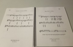 Native American Flute Song (Anishnaabe bbigon ngamwin) Spiral Paperback Music