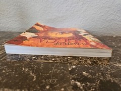 A Taste of Lucca – Signed by author Deborah Dinelli – 1996 – 208 pages