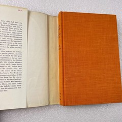 The Life and Death of Yellow Bird by James Forman – Farrar Straus Giroux 1975 HC