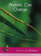 Animals Can Change (Sails: Emergent, Magenta)