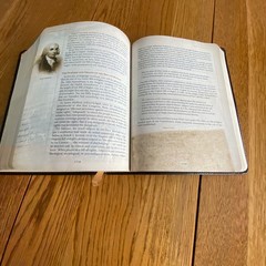 The Founders Bible NASB 2nd Edition Leathersoft Brown
