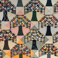 A Few of My Favorite Antique Quilts Christiane Meunier Chitra Softcover 32 Pages