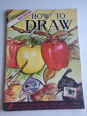 How To Draw Book by Walter T Foster – Butterflies, Flowers, Trees, Shrubs, Etc