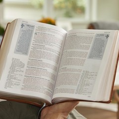 Life in Christ Bible: Discovering, Believing, and Rejoicing in Who God Says…