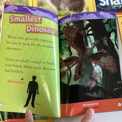 National Geographic Pre Level 1 & 2 Readers Kindergarten 1st Grade 14 Book Lot