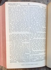Holy Bible ~1901 Vintage HC~ Nelson (American Standard Version) Israel Christian