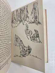 Wild Animals of the Five Rivers Country George Franklin 1947 Mary Ogden Abbott