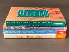 Mindfulness Meditation – Lot of 4 – Jon Kabat-Zinn, “Buddha’ Brain” – Softcover