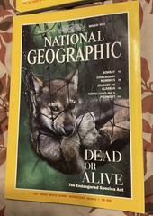 Vintage National Geographic Magazine Lot 4 Mags 1995 Jan Apr Gray Sharks Saigon