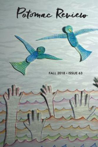 Potomac Review Issue 63 by Wang, John Wei Han, Like New Used, Free shipping i…