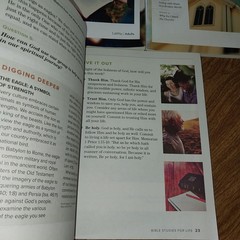 Bible Studies for Life Personal Study Guides Lot Of 3 Lifeway 2019 To 2020