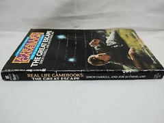 A Real Life Gamebook The Great Escape Choose Your Own Adventure Book