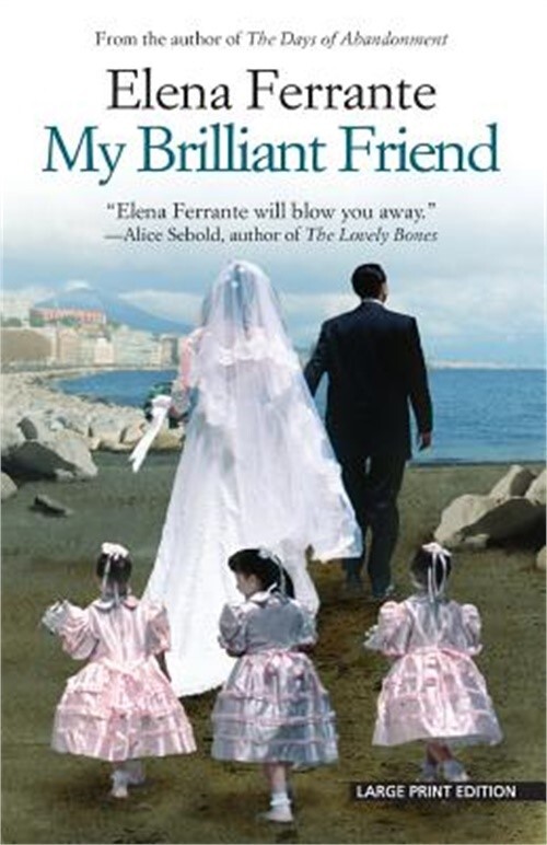 My Brilliant Friend (Paperback or Softback)