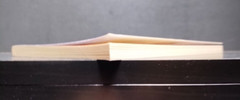 Is America in Bible Prophecy PB 2002 Mark Hitchcock Christian Theology End Times
