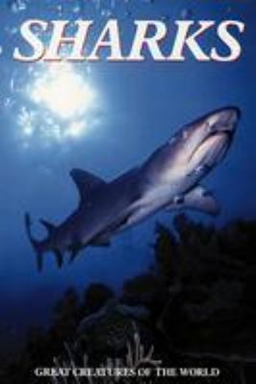 Sharks Hardcover Sheena Coupe