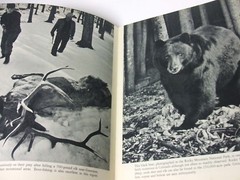 Look at America – 342 pages with lots of pictures and illustrations