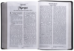 Cepher – LARGE PRINT soft cover