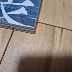 Makoto Shinkai Exhibition – Animation Production Feature Book Shinkai Makoto