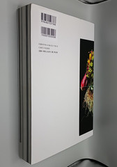 Encyclopedia Of Flowers 4 – Makoto Azuma & Shunsuke Shiinoki (Japanese Edition)