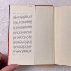 The Life and Death of Yellow Bird by James Forman – Farrar Straus Giroux 1975 HC