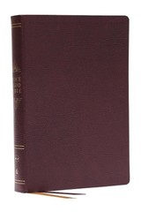 Peace of God Bible: Discover and Experience God’s Shalom Throughout the Bible (N