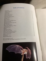 VTG Books Of BATS OF THE UNITED STATES ~ 64 Pages