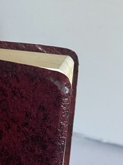 Bible NAB by Fireside Catholic Publishing 1994-1995 Edition Leather Bound