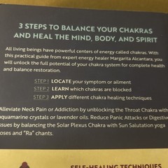 Chakra Healing (A beginners guide to Self Healing) By Margarita Alcantara