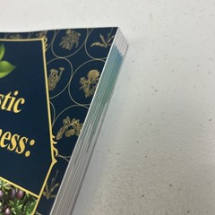 The Holistic Guide to Wellness: Herbal Protocols for Common Ailments. N. Apelian