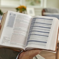 Life in Christ Bible: Discovering, Believing, and Rejoicing in Who God Says…