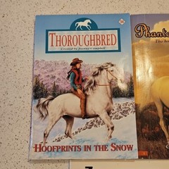 Horsemanship Care Riding Book Lot 10 Equestrian Pony Manual Horse Stories Mixed