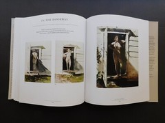ANDREW WYETH Illustrated 1987 collection HELGA PICTURES Unread HCDJ 208 pages