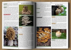 Wilderness Long-Term Survival Guide : Forgotten Skills to Make…
