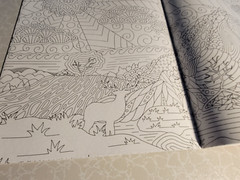 BRILLIANT ESCAPES – ADULT COLORING BOOK -48 Pages Of Summer – Suns, Animals-MORE