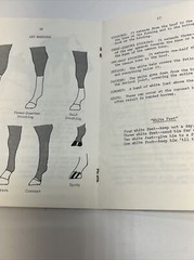 1979 Horsemanship Manual “Honey Rock Camp” Wheaton, IL. By Judy Meyer 32 Pages