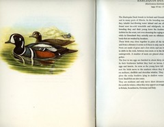 Birds of Europe, 160 color-plates from Lithographs of John Gould, 1966, HC Book