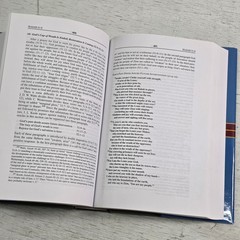 Isaiah 40-66: An Exegetical and Theological Exposition New American Commentary
