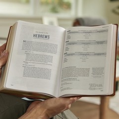 Life in Christ Bible: Discovering, Believing, and Rejoicing in Who God Says…