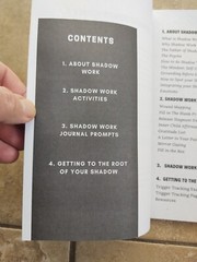 THE SHADOW WORK JOURNAL Guide Integrate & Transcend Your Shadows Self Help Book