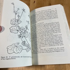 The Joy Of Geraniums FIRST PRINTING Helen Van Pelt Wilson, Gardening, Quill PB