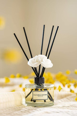 CULTURE & NATURE Reed Diffuser Set 6.7Oz (200Ml) French Lavender Scented Diffuse