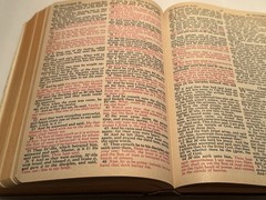 THE HOLY BIBLE KJV red letter 1965 Bonded leather vintage World pub. concordance