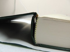 Ryrie Study Bible, Expanded Edition [New American Standard Bible
