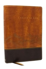 Peace of God Bible: Discover and Experience God’s Shalom Throughout the Bible (N