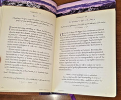 David Jeremiah JOURNEY ‘Your Daily Adventure With God’ Faux Leather Bound 2011