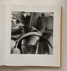 FRIEDLANDER The Museum of Modern Art-Galassi- FIRST EDITION-Hardcover-2005